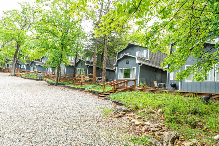 Tribe-Cabin-1-26-768x512